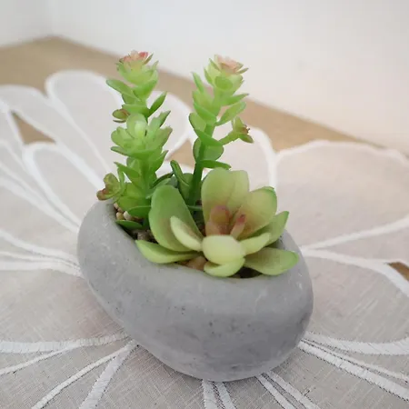 Jasmin * Шладмінг